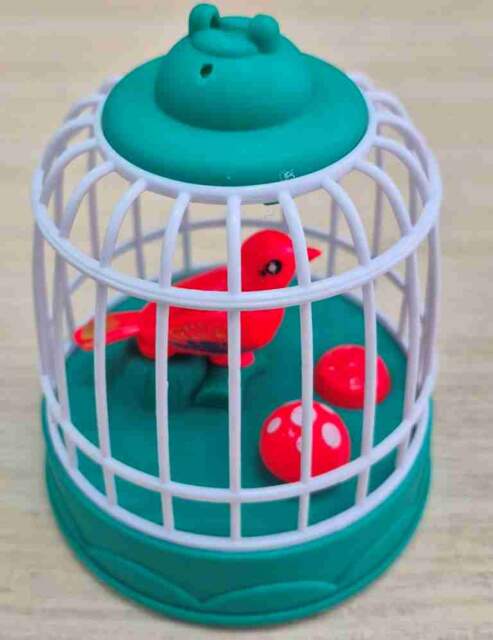 «Ptichka v kletke» torgovoy marki «DARVISH»