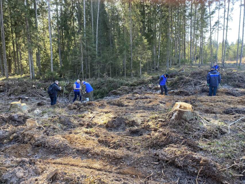 Vitebskaya oblastnaya inspektsiya Gosstandarta vnov' prisoyedinilask aktsii Les! Dabro Paradak